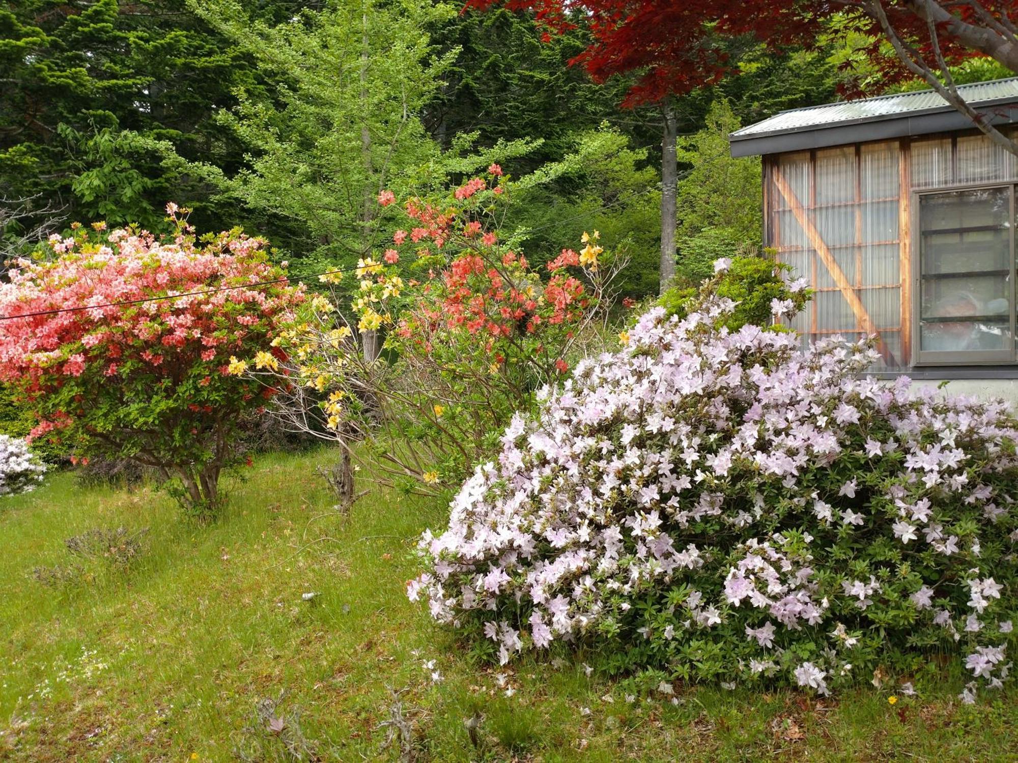 Villa Noboribetsu No Mori Exterior foto